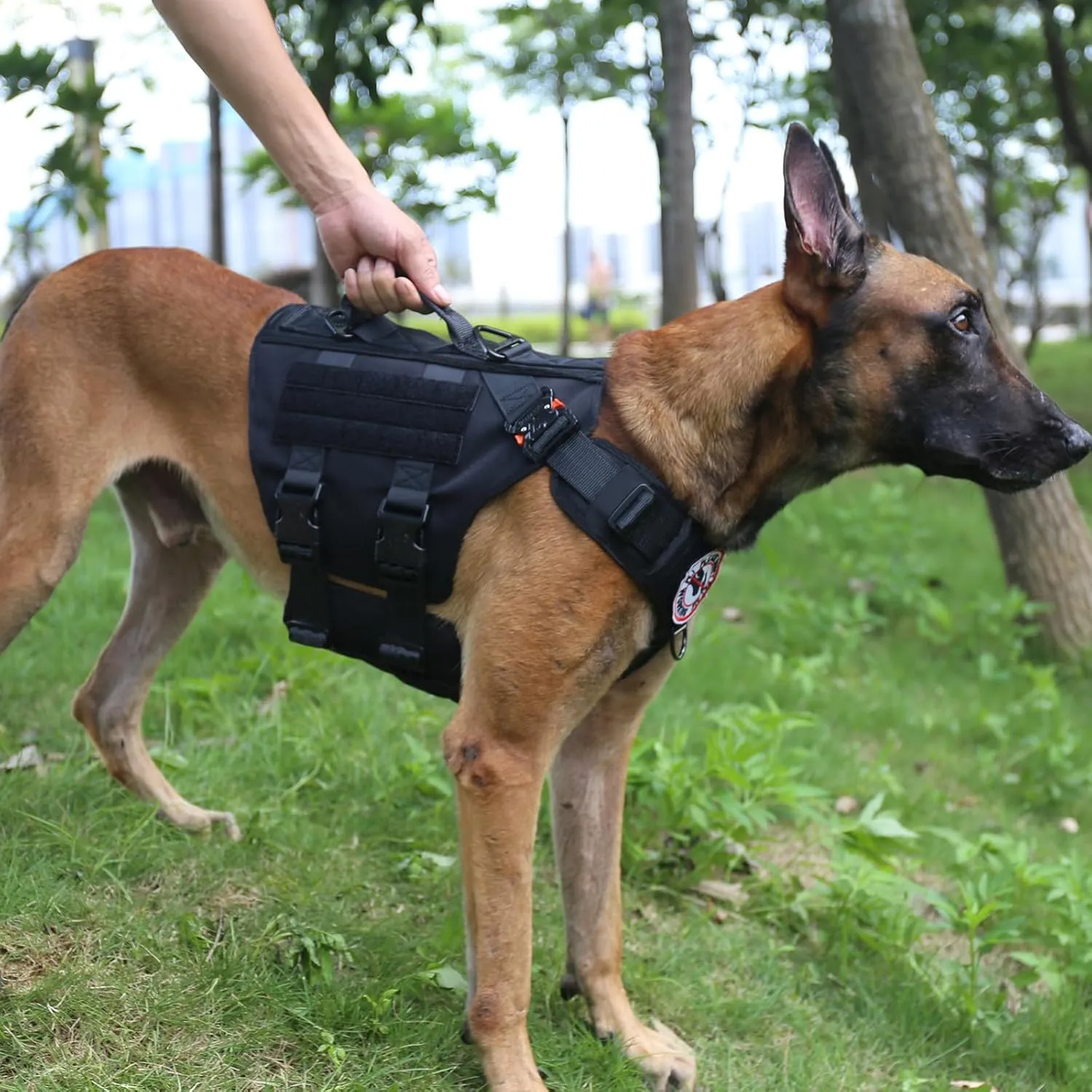 ICEFANG GN3 Tactical Dog Harness with 6X Buckle,Dog Molle Vest with Handle,3/4 Body Coverage,Hook and Loop Panel for ID Patch,No Pulling Front Clip (L (28"-35" Girth), Black)