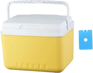 Insulated Cooler Camping Storage Case with Handle Drink Bucket Ice Chest Box Organizer for Groceries Travel Picnic Tailgating