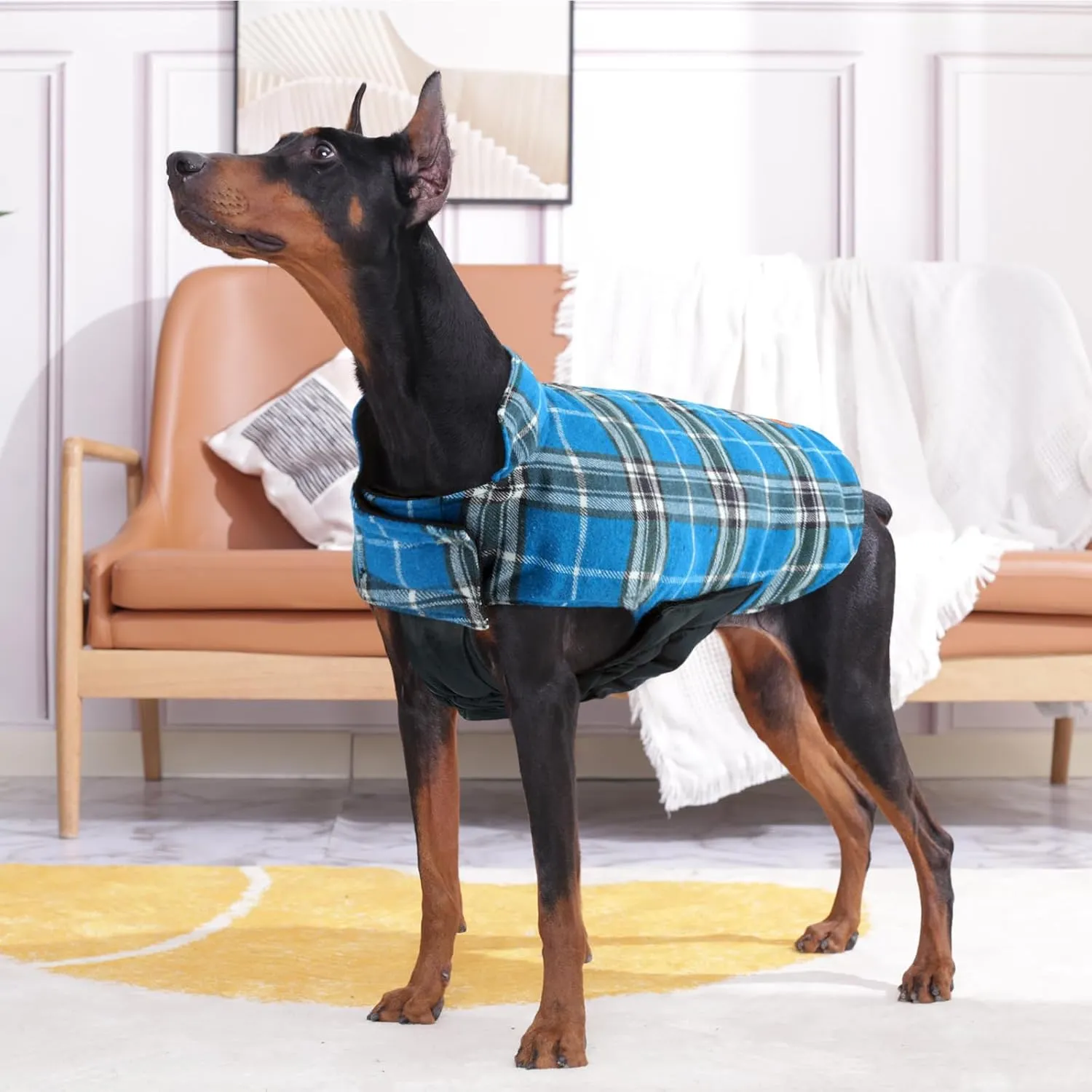 Kuoser Warm Dog Coat, Waterproof Dog Coats for X-Small Dogs, Adjustable Durable Doggie Winter Jacket Reversible Cozy Puppy Cold Weather Apparel from Small to Large Breed, Blue XS