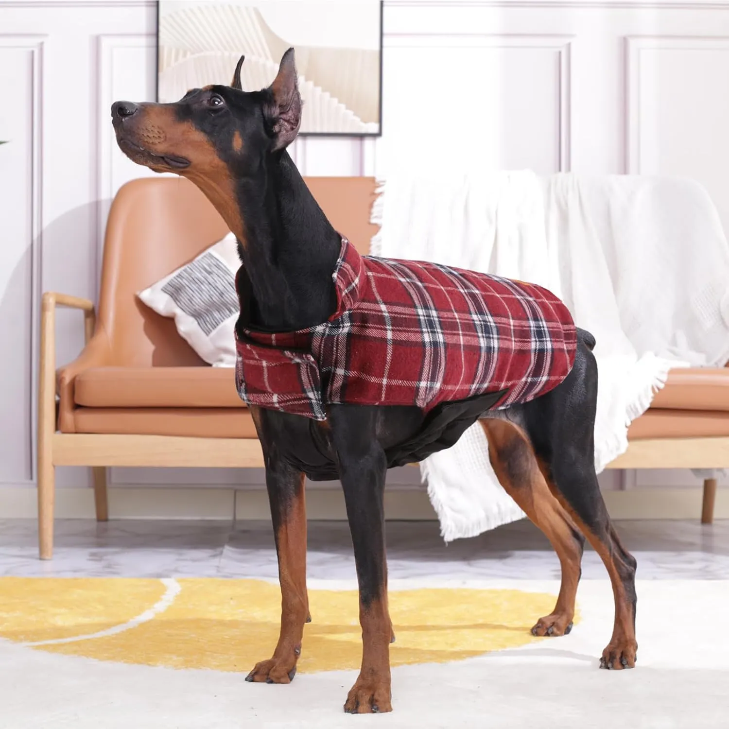 Kuoser Waterproof Dog Coat, Reversible Dog Jacket for Medium Dogs, Adjustable Durable Doggie Winter Coat Warm Puppy Cold Weather Apparel from Small to Large Breed, Red M