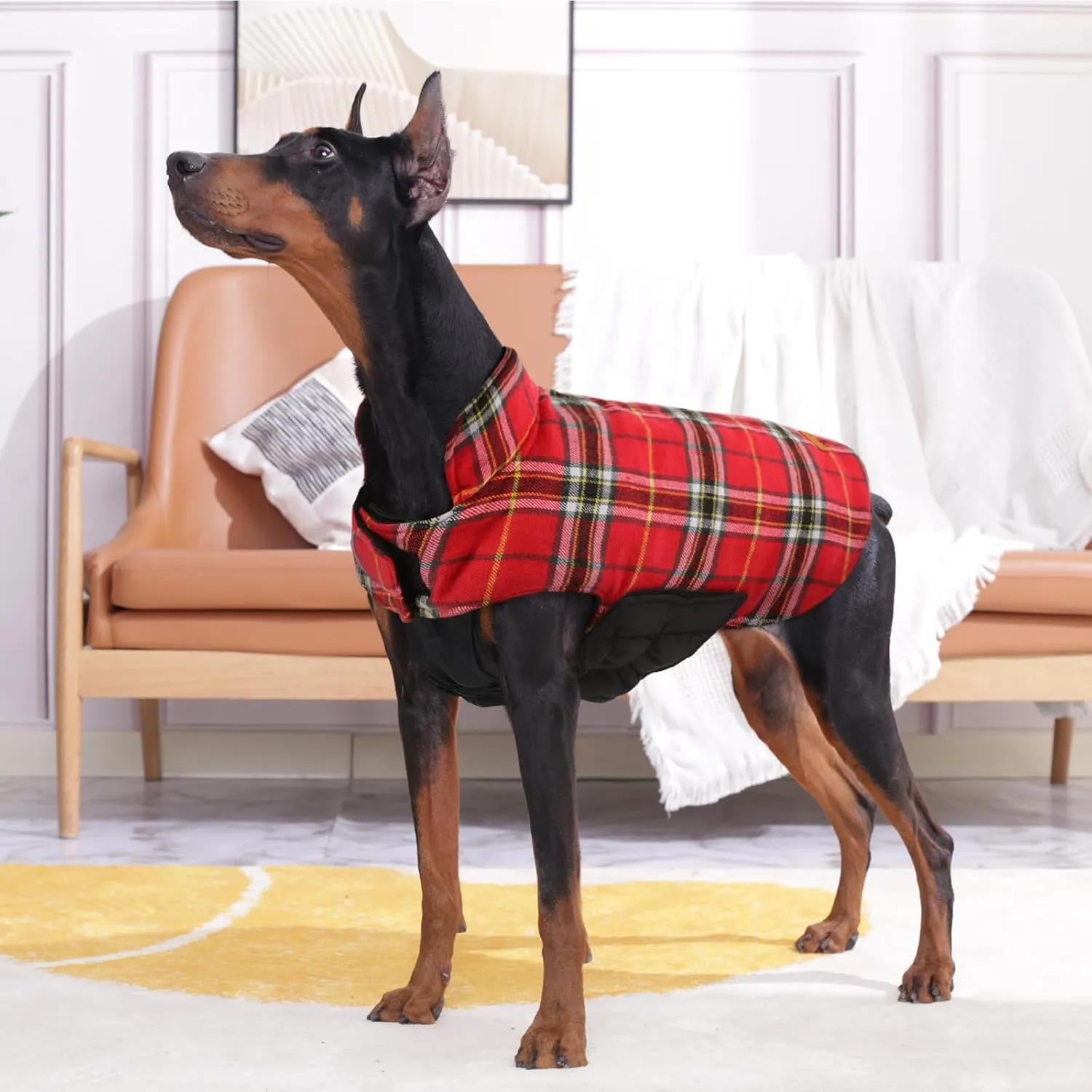 Kuoser Waterproof Dog Coat, Reversible Dog Jacket for Small Dogs, Adjustable Durable Doggie Winter Coat Warm Cozy Puppy Cold Weather Apparel from Small to Large Breed, Bright Red S