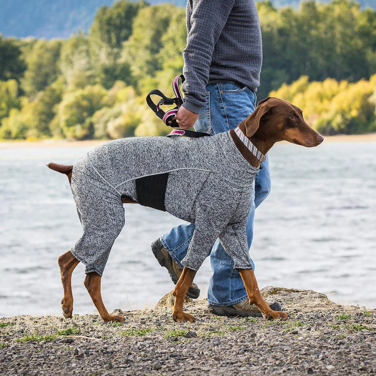 Kurgo Dog Onesie Body Warmer, Bodysuit for Dogs, Recovery Suit, Pet Pajamas, Reduce Anxiety, Contains Shedding, Leash Opening, Reflective, Stowe Base Layer, Heather Black/Grey (Large)