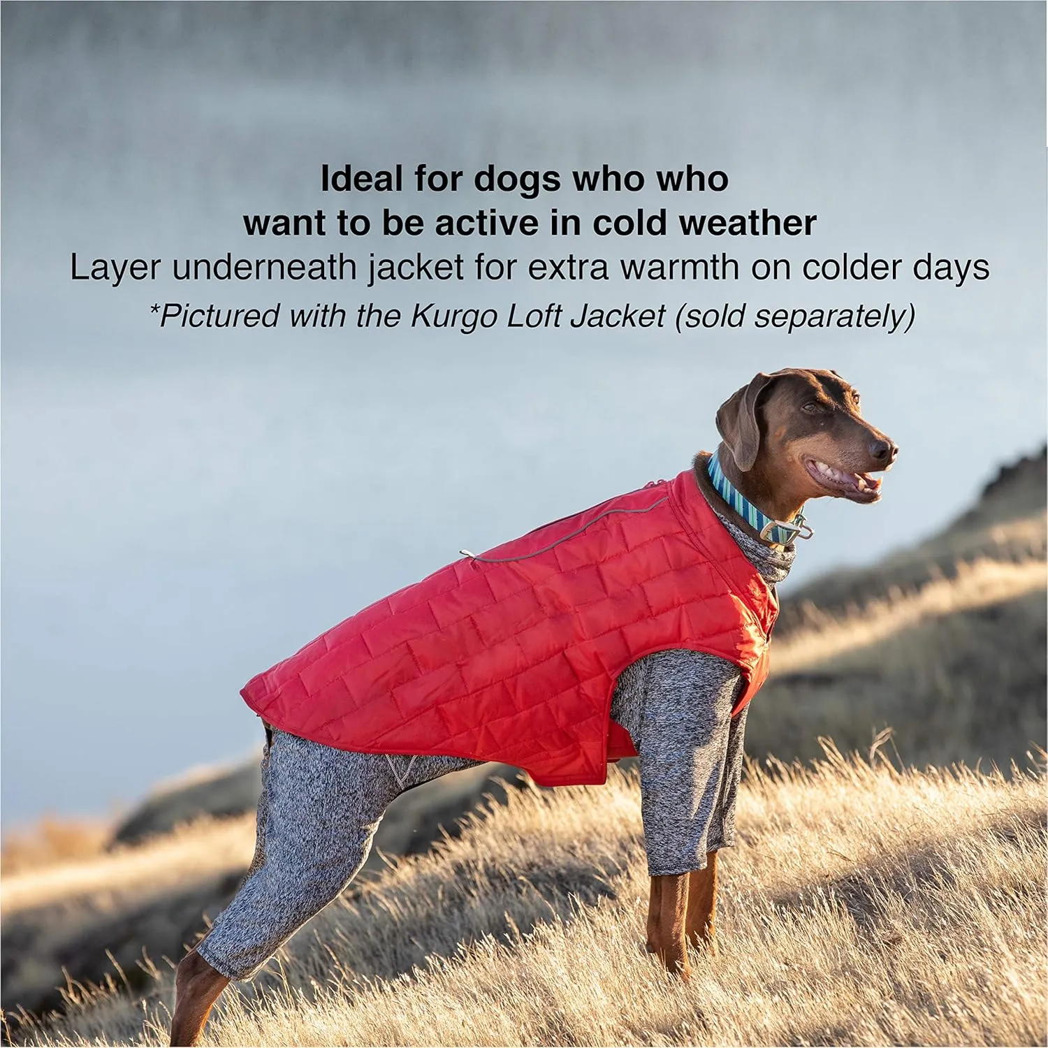 Kurgo Dog Onesie Body Warmer, Bodysuit for Dogs, Recovery Suit, Pet Pajamas, Reduce Anxiety, Contains Shedding, Leash Opening, Reflective, Stowe Base Layer, Heather Black/Grey (Large)