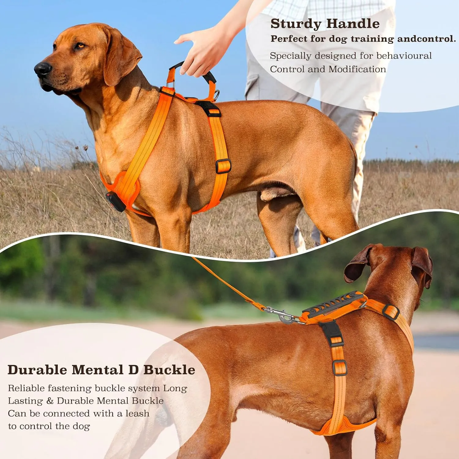 Light Up Dog Harness, Led No Pull Dog Harness with Handle Reflective Glow-in-The-Dark for Night Walking, USB Rechargeable Lighted Vest for Medium Large Dogs, Adjustable Soft Illuminated (Orange, L)