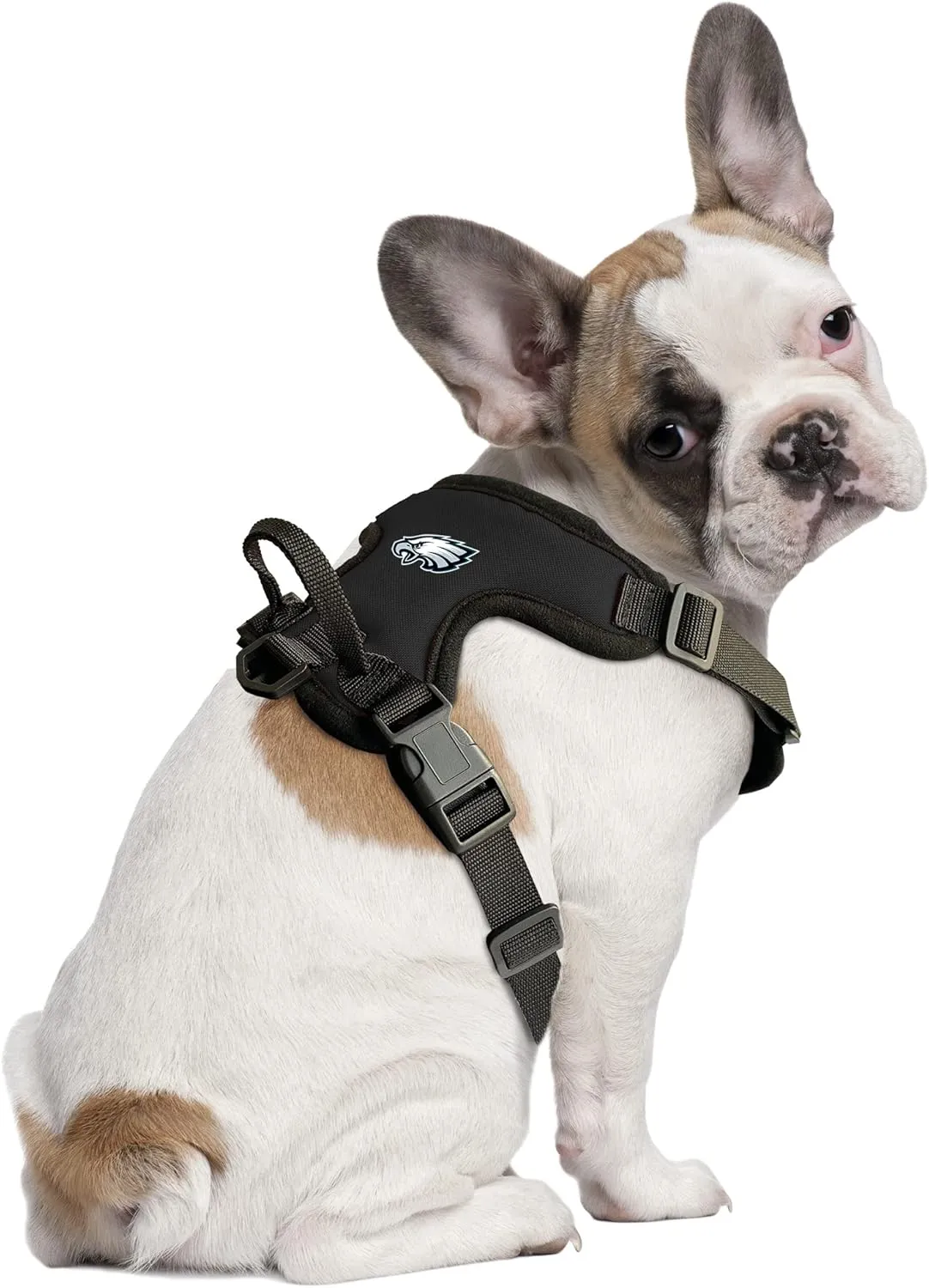 Littlearth NFL Unisex-Adult Front Clip Pet Harness
