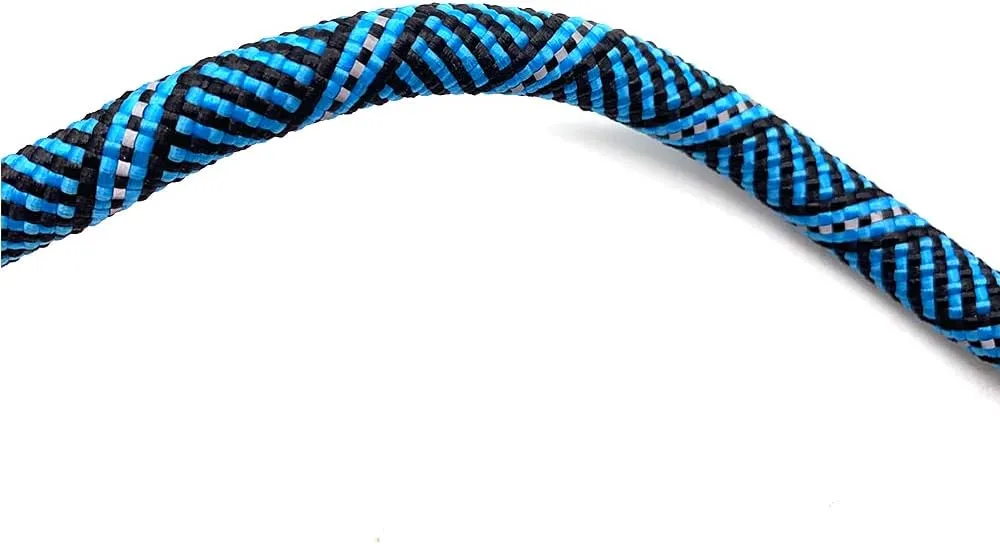 Locking Carabiner Dog Leash – Heavy Duty Rope Leash for Large & Medium Dogs | Reflective with Strong Clip & Padded Handle for Walking, Hiking, Running, Training - 6 Ft (Royal Blue)