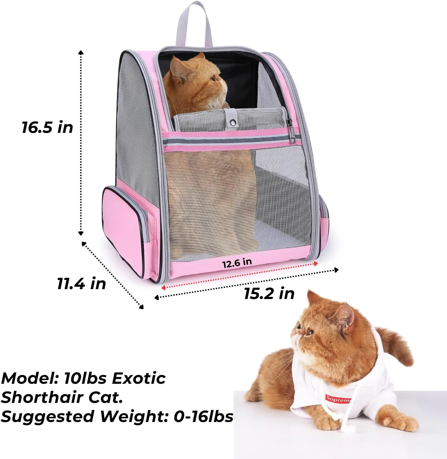 LOLLIMEOW Pet Carrier Backpack for Dogs and Cats,Puppies,Fully Ventilated Mesh,Airline Approved,Designed for Travel, Hiking, Walking & Outdoor Use