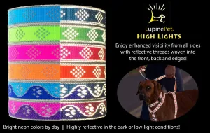 Lupine Reflective Cat and Small Pet H-Style Harness in 1/2" Wide Green Diamond with 12" to 20" Adjustable Girth
