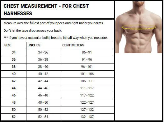 Men’s Soft Leather Triple Strap Chest Harness with Dual O-Rings