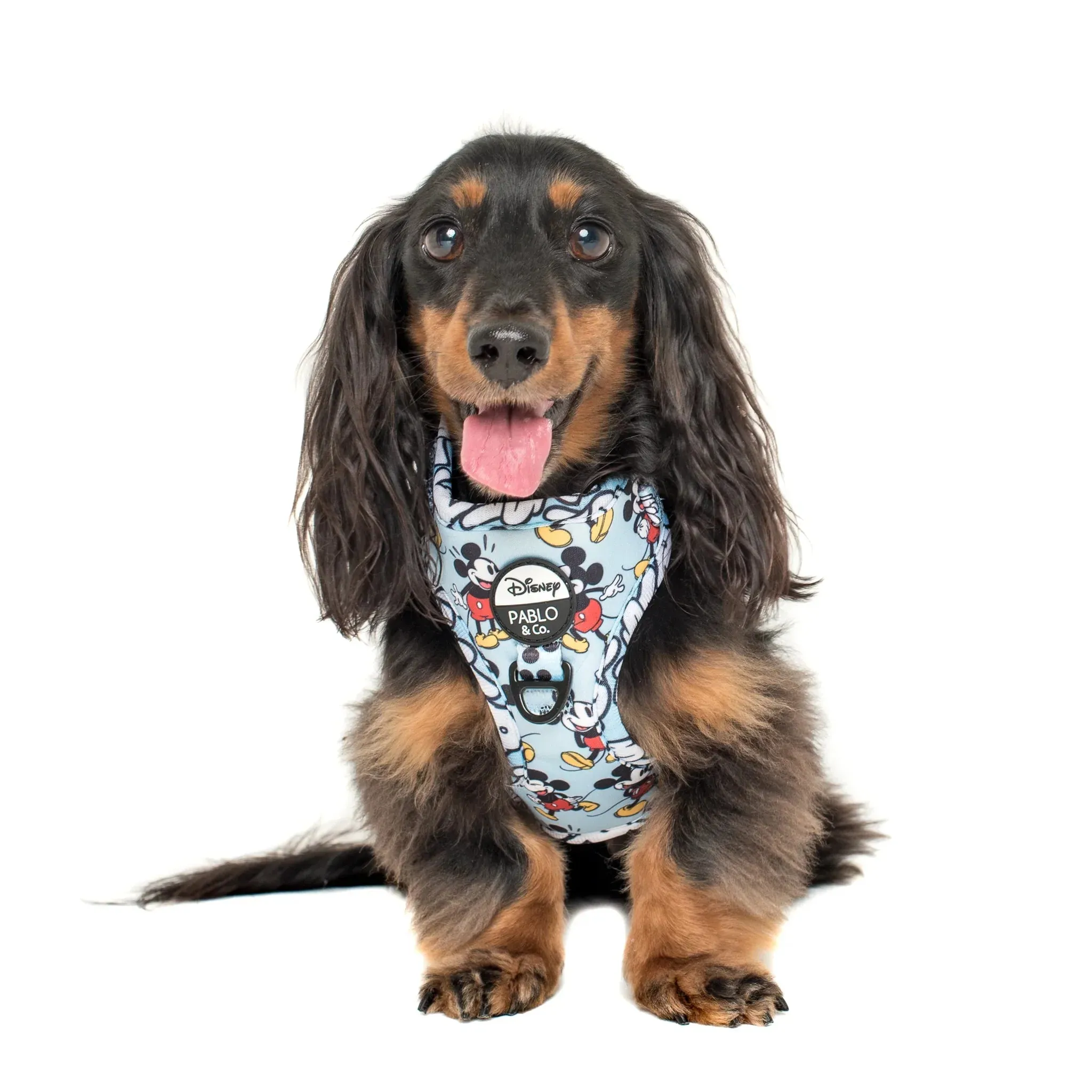 Mickey Mouse Adjustable Harness