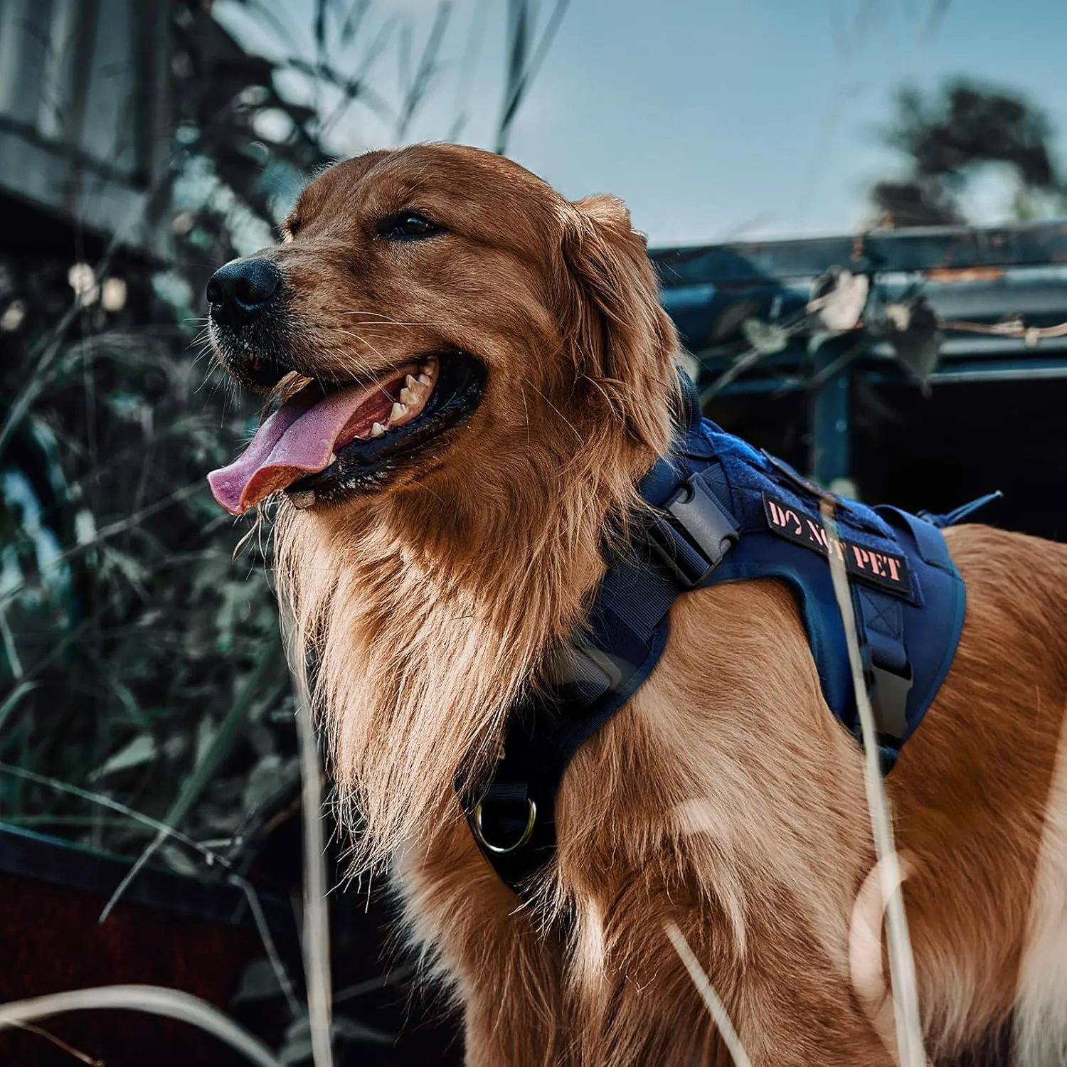 OneTigris Tactical Dog Harness Vest,No-Pull Service Dog Vest with Hook & Loop Panels,Adjustable Dog Vest Harness for Walking Hiking Training(Blue,S)