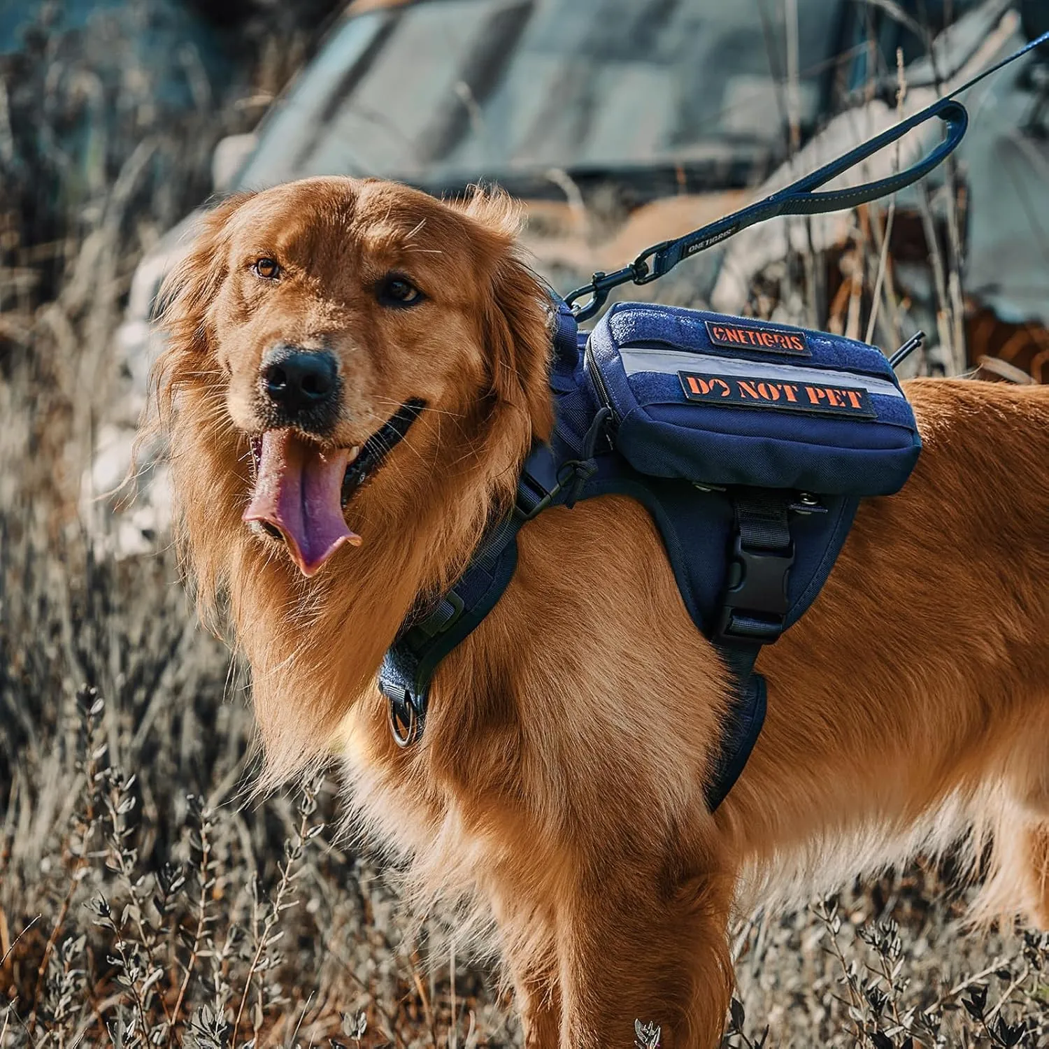 OneTigris Tactical Dog Harness Vest,No-Pull Service Dog Vest with Hook & Loop Panels,Adjustable Dog Vest Harness for Walking Hiking Training(Blue,S)