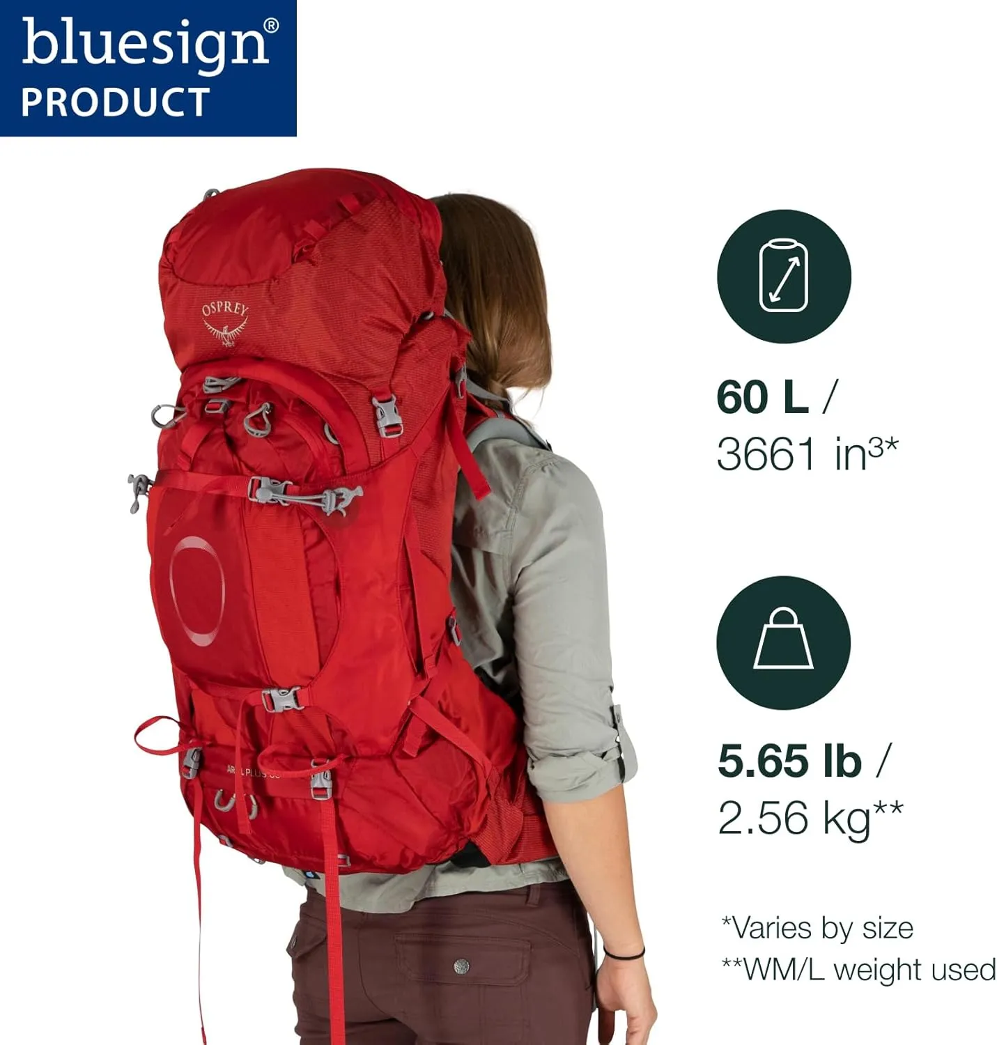 Osprey Ariel Plus 60 Women's Backpacking Backpack - Prior Season