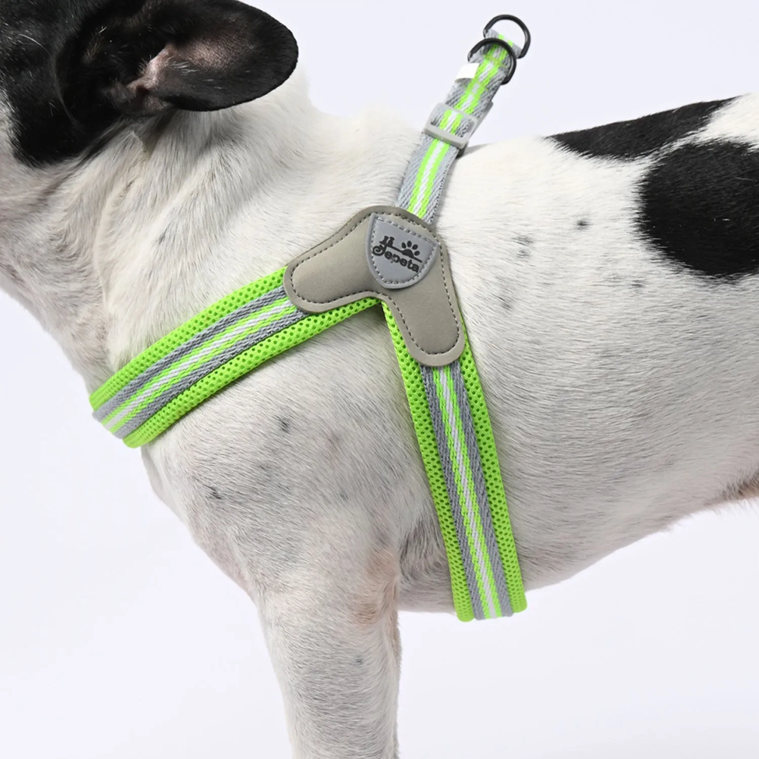 PawGrip No-Pull Frenchie Harness with Leash