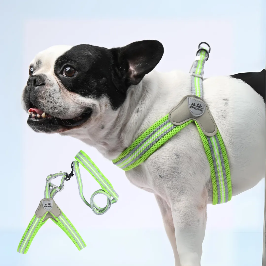 PawGrip No-Pull Frenchie Harness with Leash