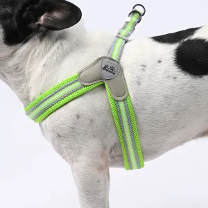 PawGrip No-Pull Frenchie Harness with Leash