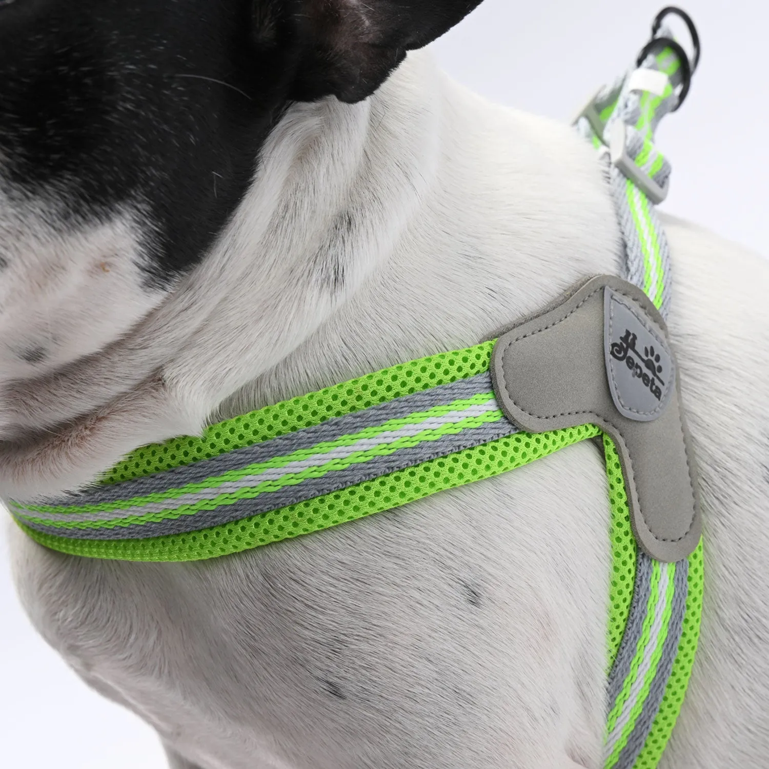 PawGrip No-Pull Frenchie Harness with Leash