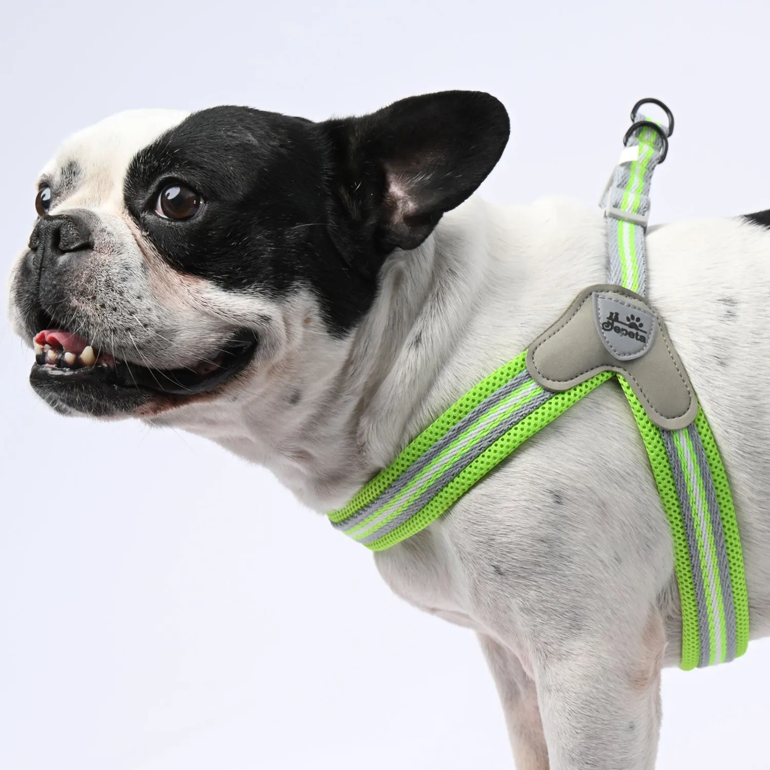 PawGrip No-Pull Frenchie Harness with Leash