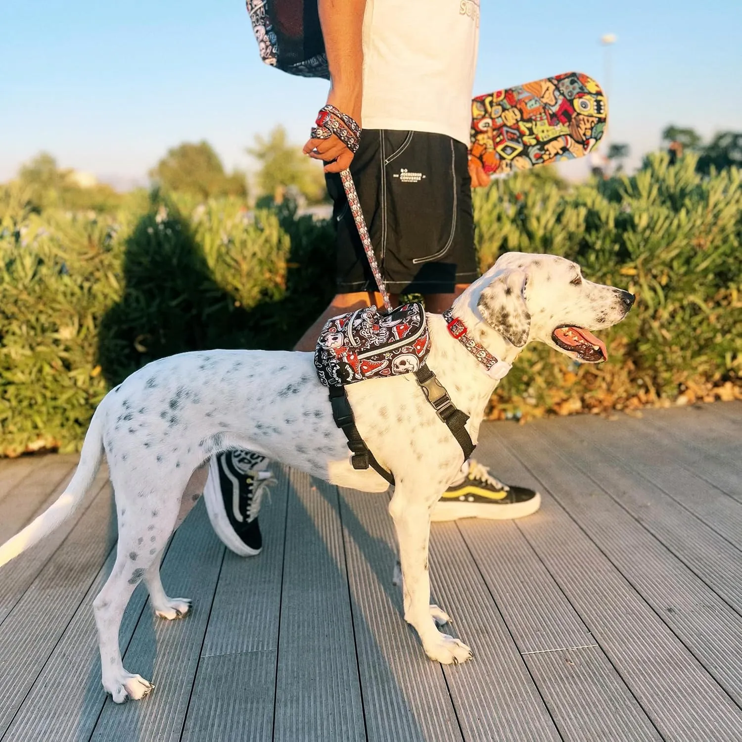 Pawlook Dog Backpack Harness – Street Smart | Waterproof, Adjustable, Breathable – Leash Attachment D-Rings, Poop Bag Pocket – Small & Medium Dogs – 8 Styles Skull Medium