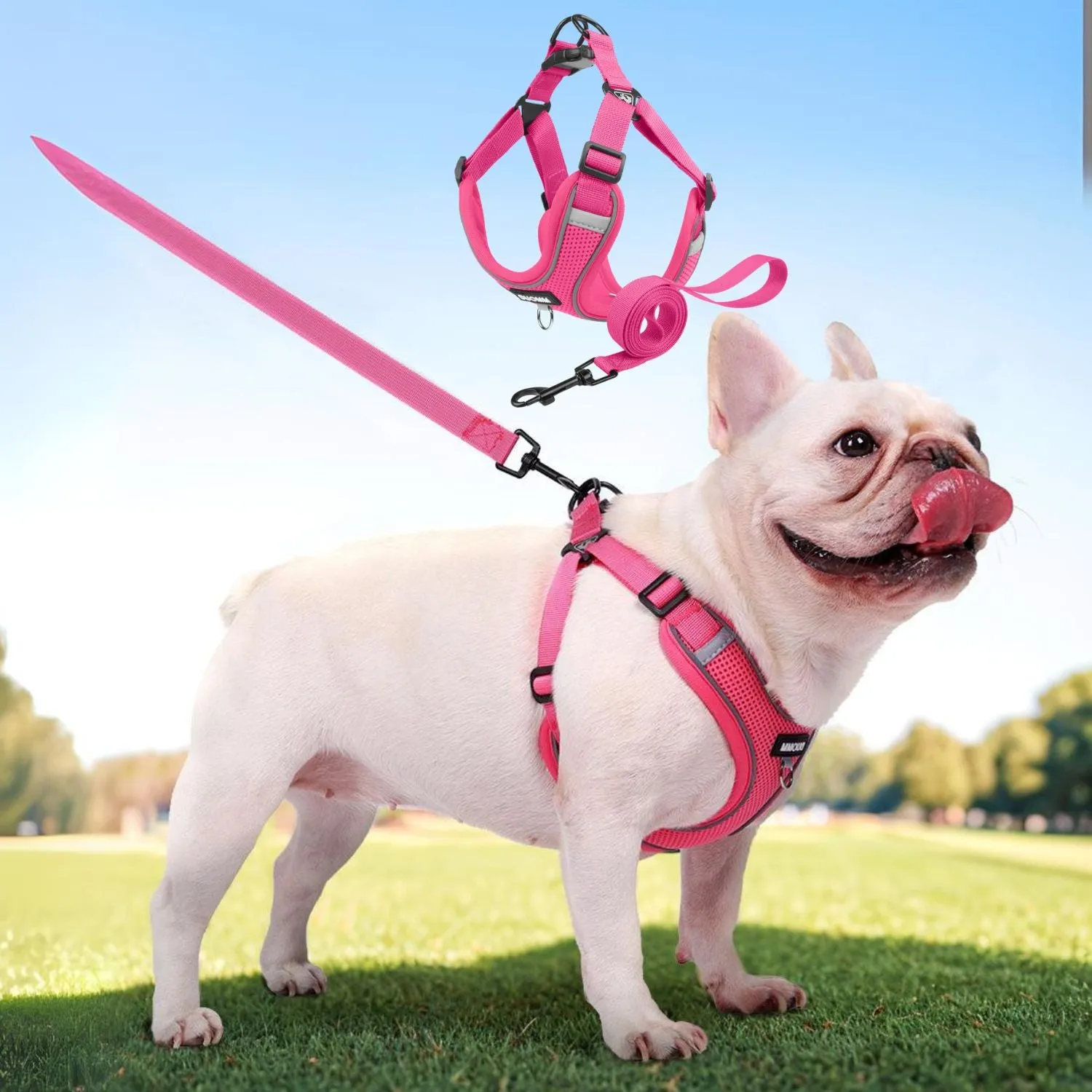 Pawtify No Pull Frenchie Harness Explosion-Proof Vest