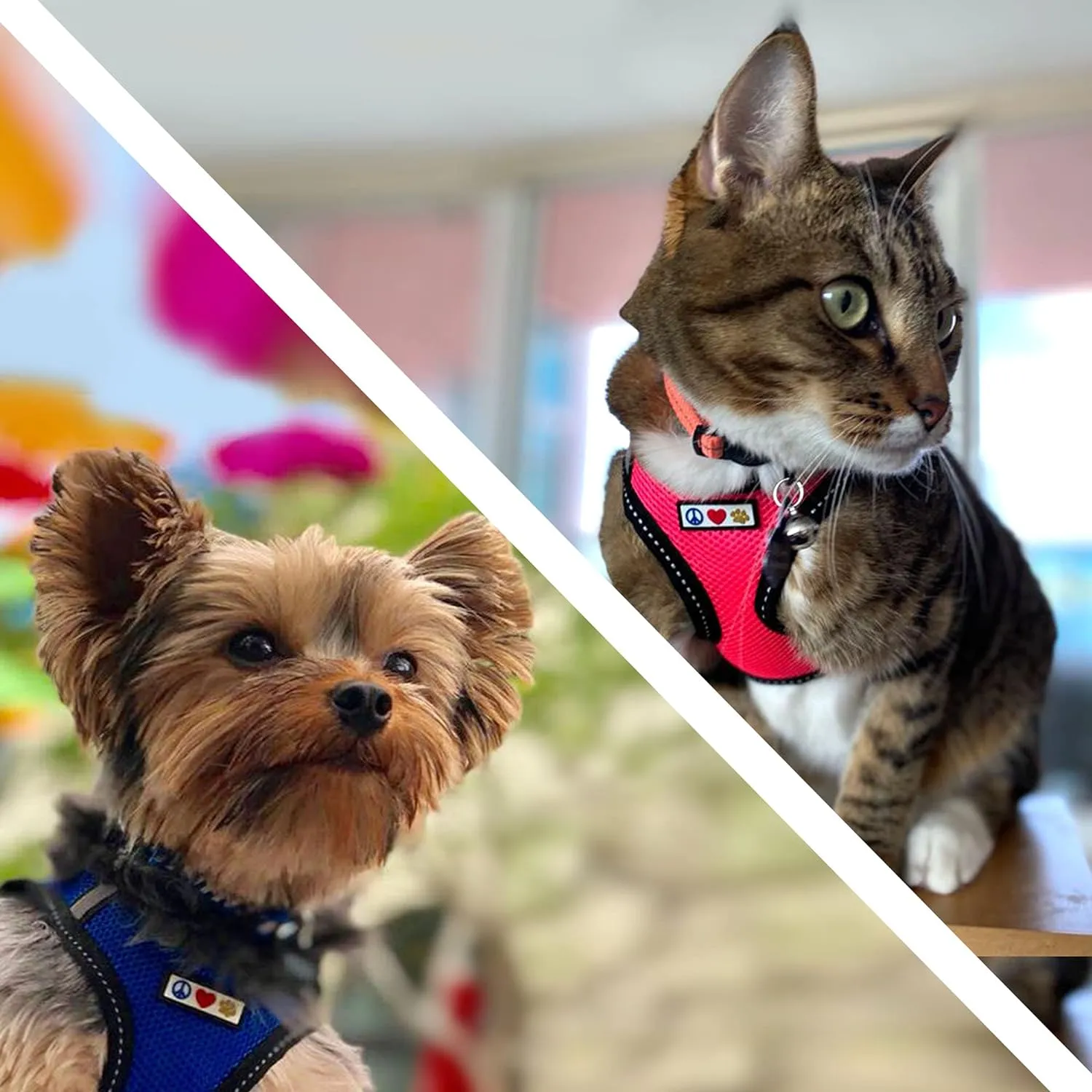 Pawtitas Dog Vest Harness Made with Breathable Air Mesh | All Weather Vest Harness for Extra Small Puppies and Cats with Quick-Release Buckle - Extra Small Pink Mesh Dog Harness