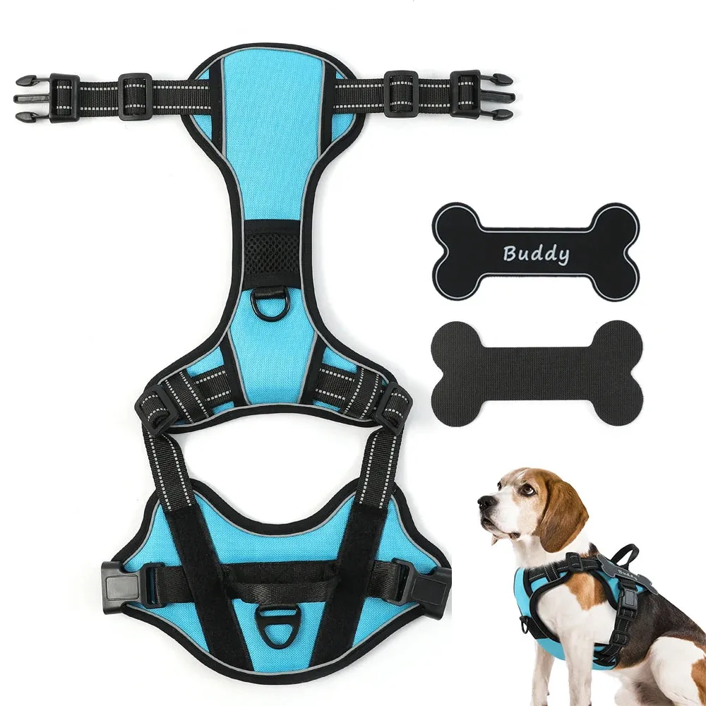 Personalized Canine Comfort Harness - Safe, Breathable & Custom Fit