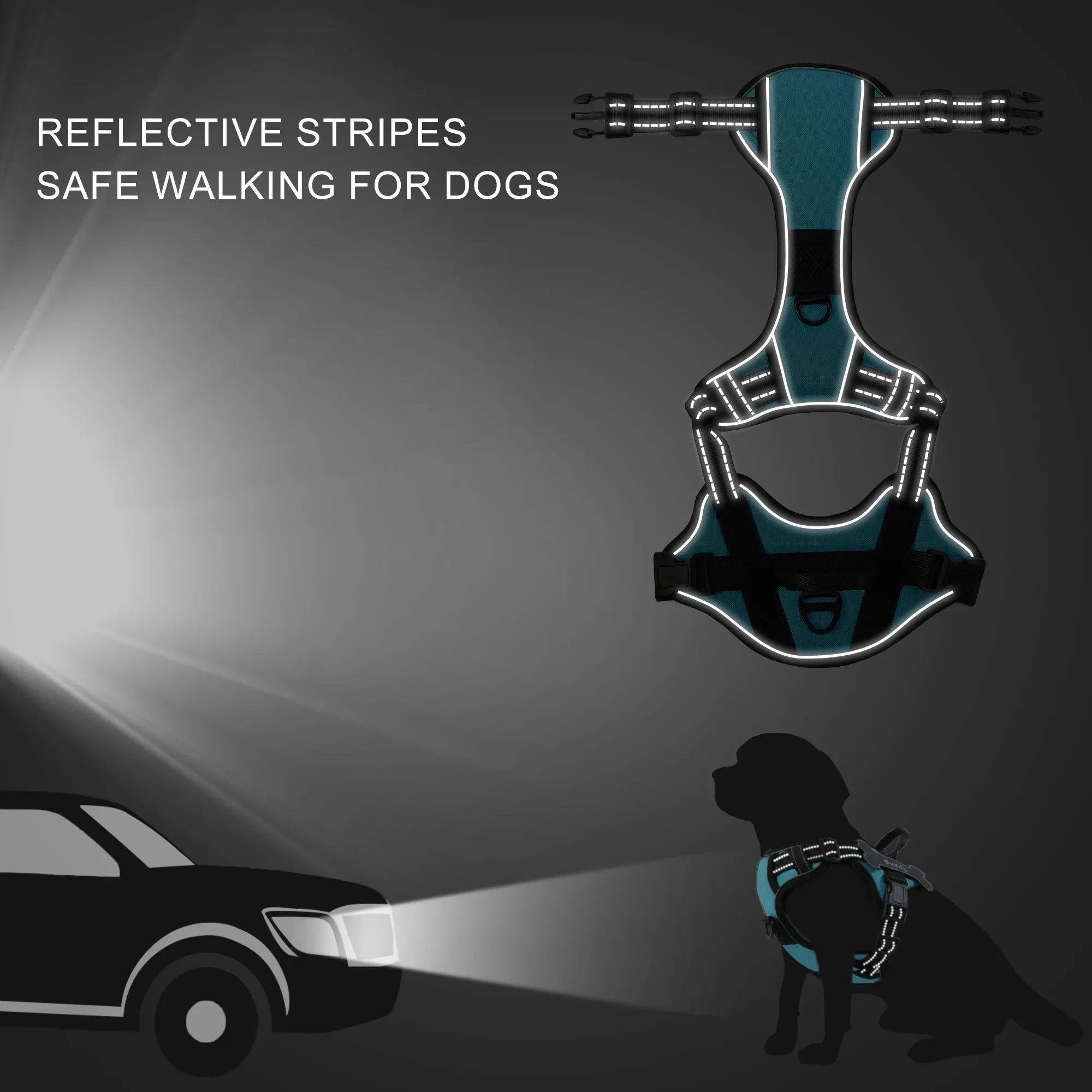 Personalized Canine Comfort Harness - Safe, Breathable & Custom Fit