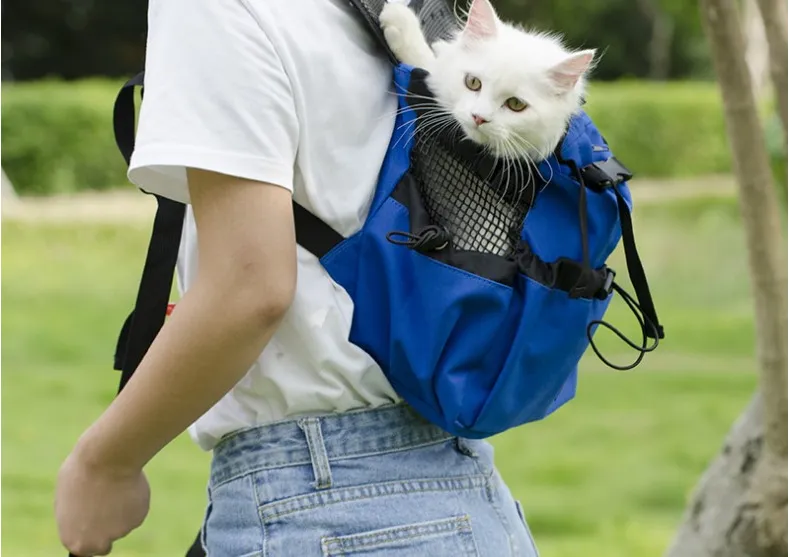 Pet Backpack Ventilated And Breathable