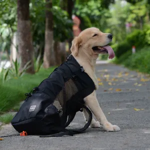 Pet Backpack Ventilated And Breathable
