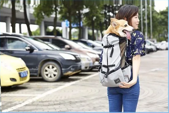 Pet Backpack Ventilated And Breathable