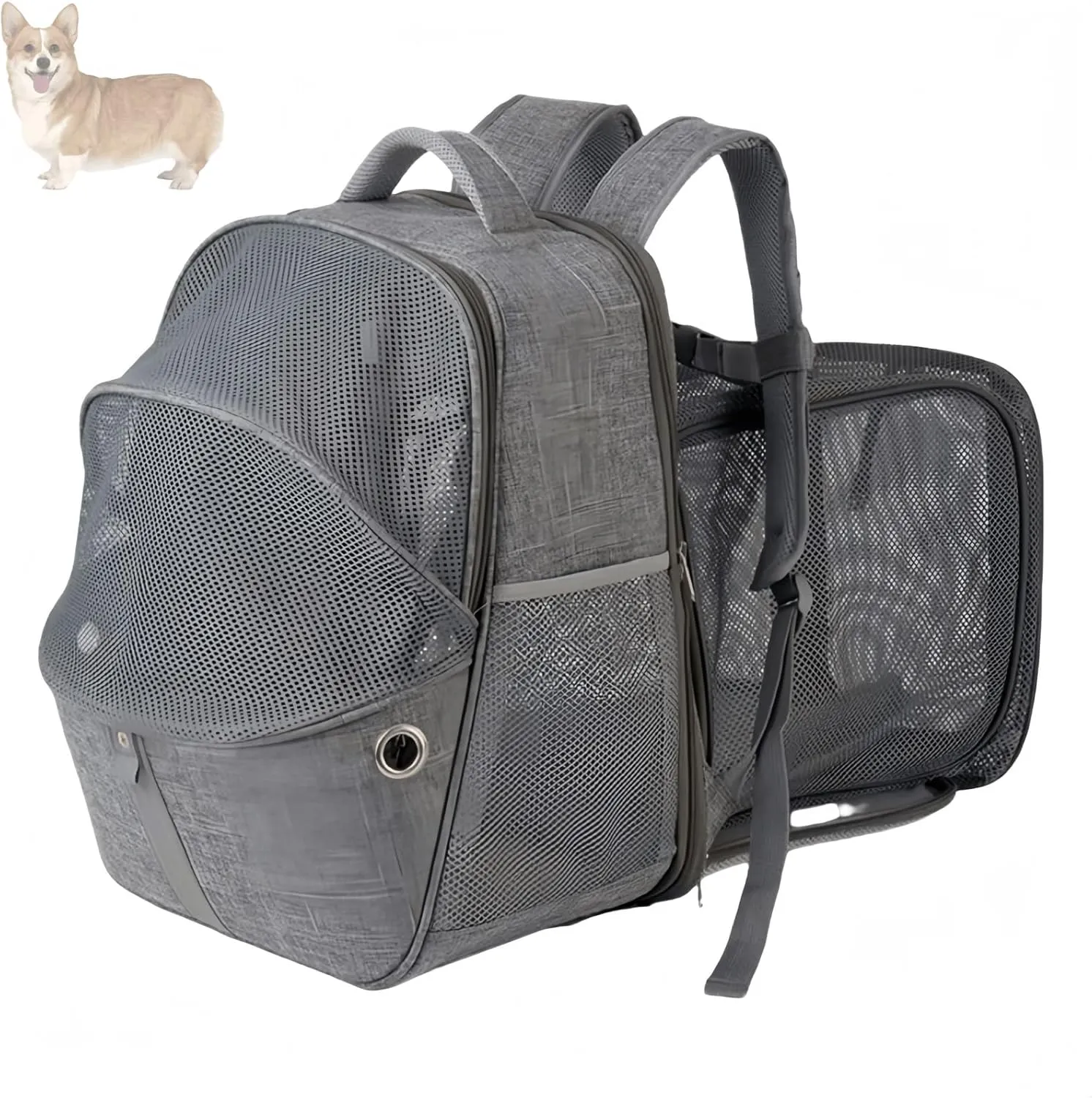Pet Bubble Backpack, Expandable Pet Backpack, Airline Approved Pet Backpack for Small Dogs, Dog Travel Backpack, Cat Bag Backpack with Cat Toys for Travel, Hiking and Outdoor Use.(Gray-Black)