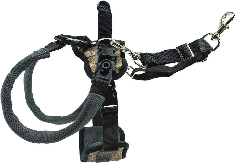 PetSafe CareLift Rear Support Harness - Lifting Aid with Handle and Shoulder Strap - Fits Waist Measuring 19-31 inches, Dog Weight 35lb-70lb, Medium, Black