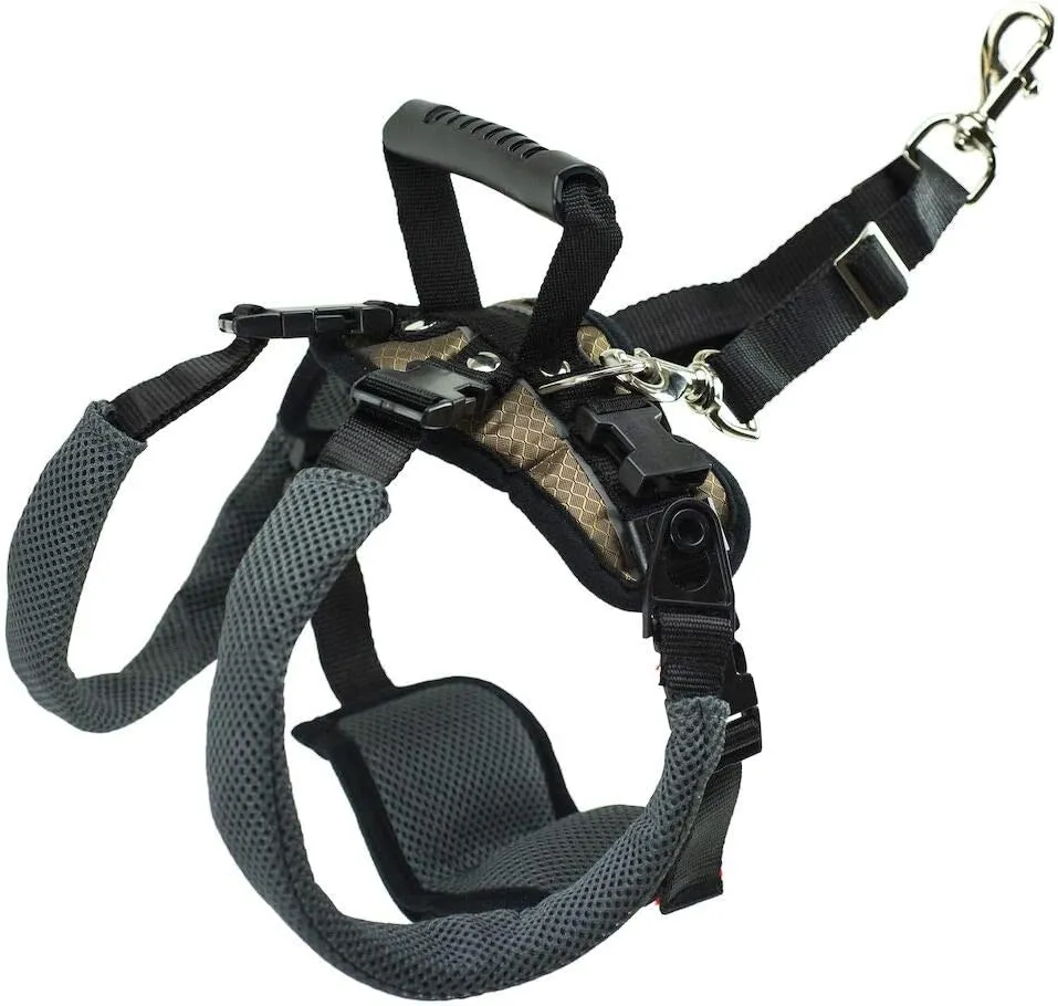 PetSafe CareLift Rear Support Harness - Lifting Aid with Handle and Shoulder Strap - Fits Waist Measuring 19-31 inches, Dog Weight 35lb-70lb, Medium, Black
