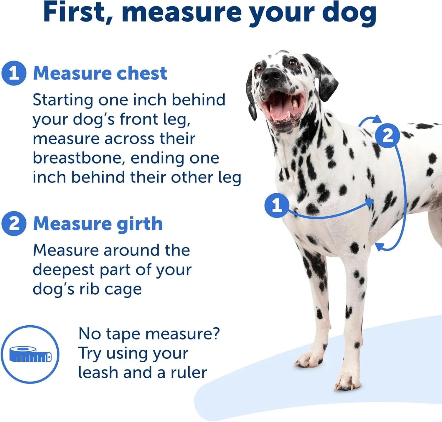 PetSafe Easy Walk No-Pull Dog Harness - The Ultimate Harness to Help Stop Pulling - Take Control & Teach Better Leash Manners - Helps Prevent Pets Pulling on Walks, Large, Black/Silver