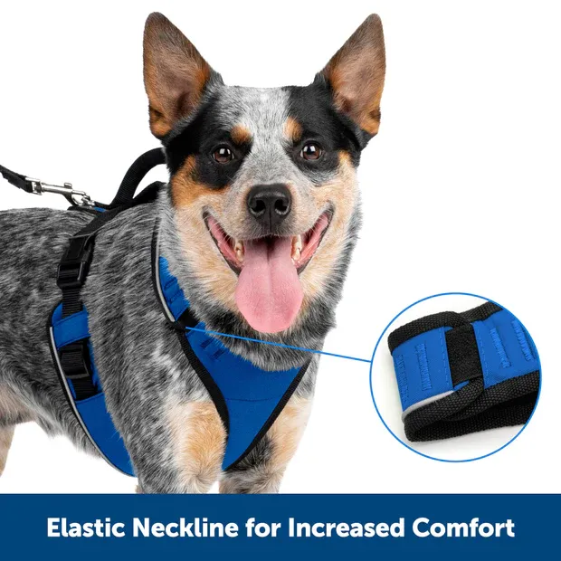 Petsafe Easysport Harness Black Lg