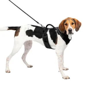 Petsafe Easysport Harness Black Lg