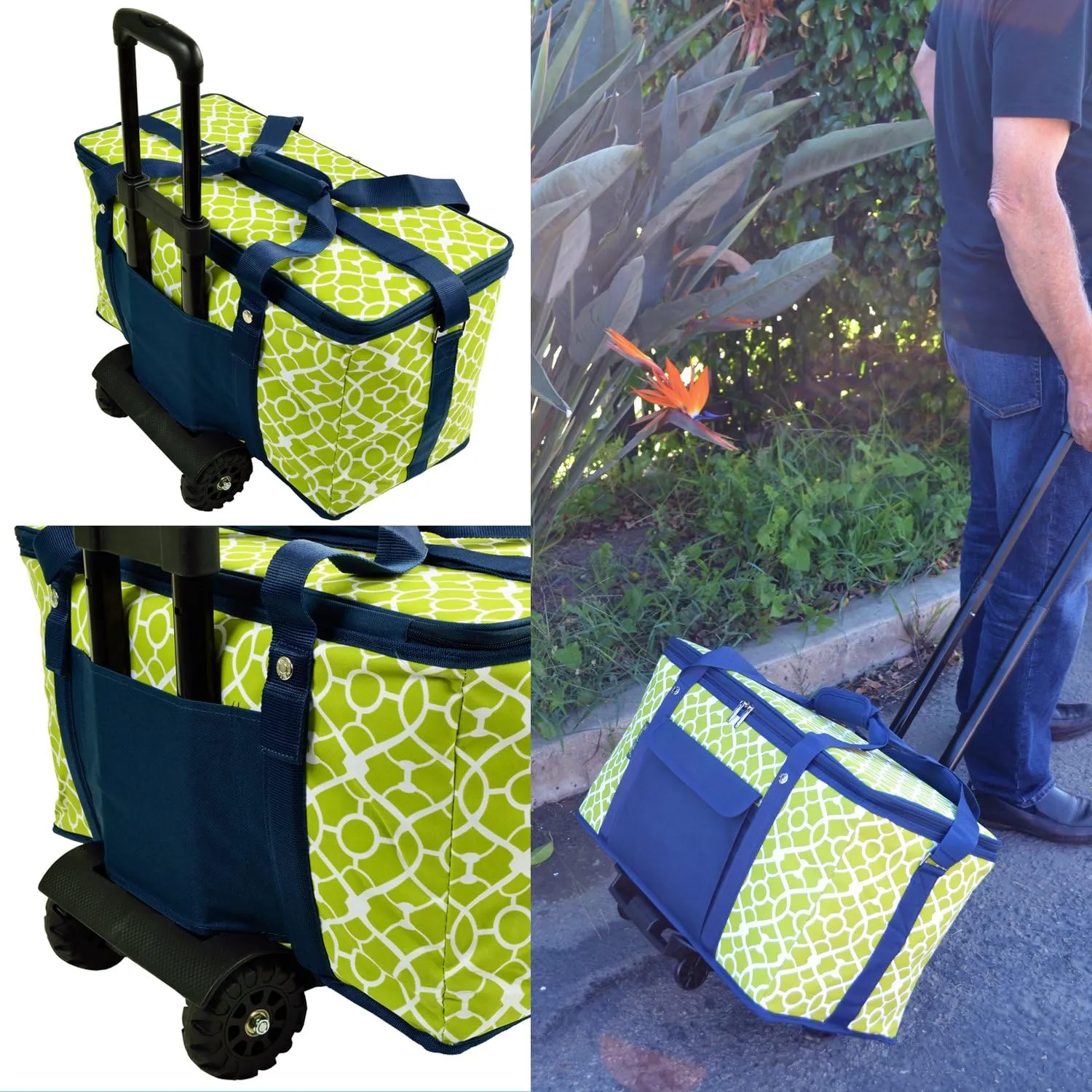 Picnic at Ascot Travel Cooler with Wheels- 64 Can Capacity- Collapsible Leakproof Cooler- Designed & Quality Approved in the USA