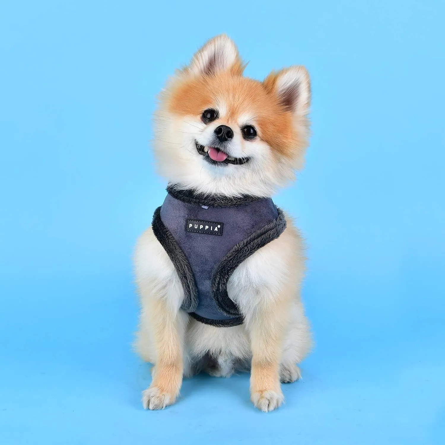 Puppia Terry Dog Harness Over-The-Head Winter Suede Warm No Choke No Pull Training Walking for Small and Medium Dog, Grey, X-Large