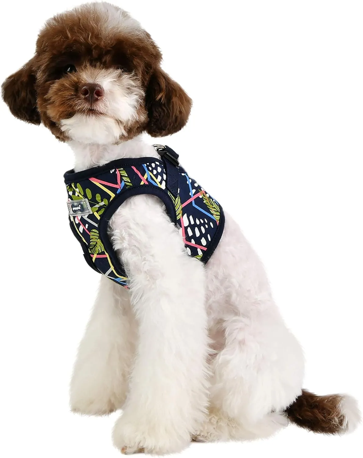 Puppia Unisex Botanical Harness B