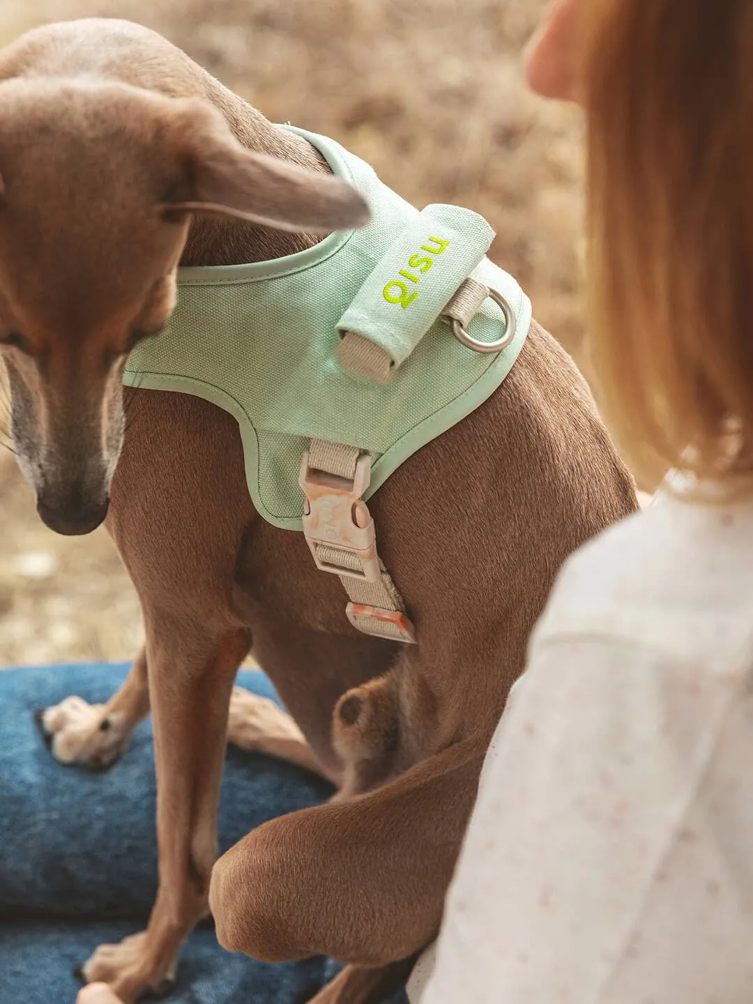 Qisu - Dog Harness | Hug Harness: / Light pink