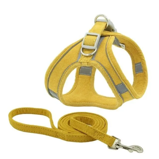 Reflective Leash With Dog Harness
