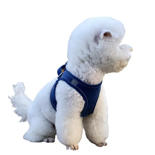 Reflective Leash With Dog Harness