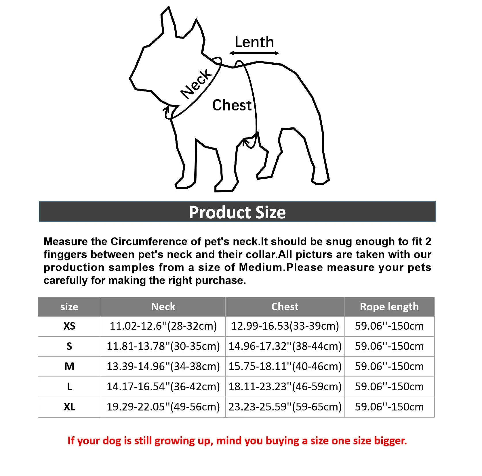 Reflective Leash With Dog Harness
