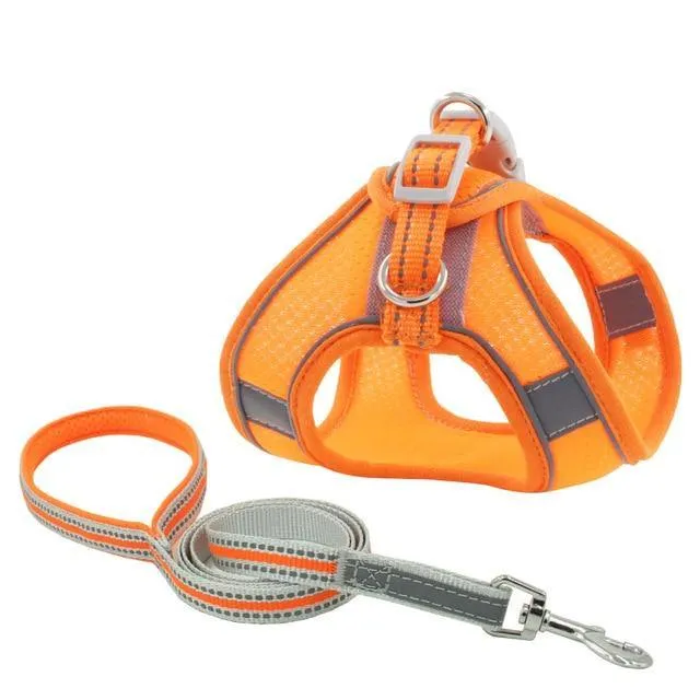 Reflective Leash With Dog Harness