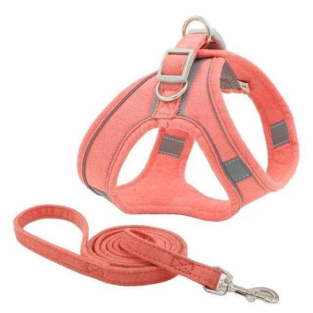 Reflective Leash With Dog Harness