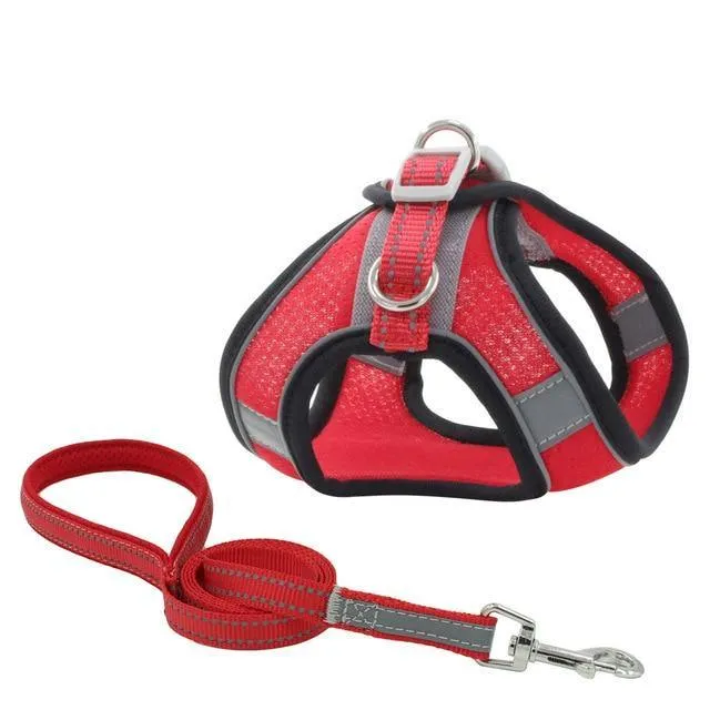 Reflective Leash With Dog Harness
