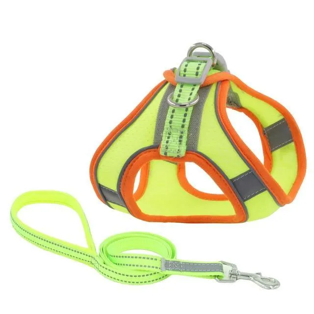 Reflective Leash With Dog Harness