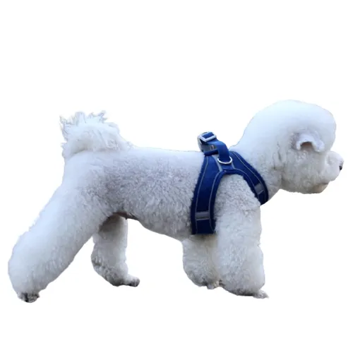 Reflective Leash With Dog Harness