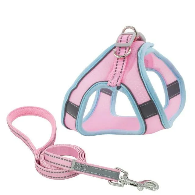Reflective Leash With Dog Harness