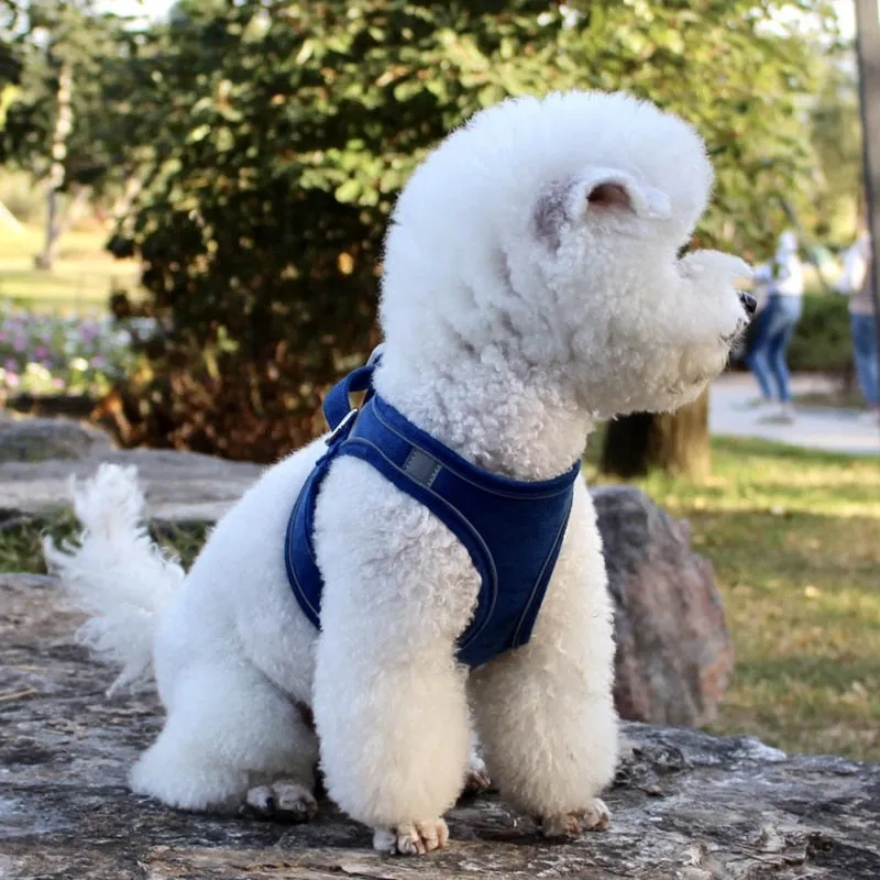 Reflective Leash With Dog Harness